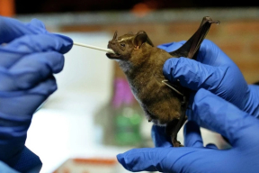 «Гораздо больше пугают обыденные для беларуских пенсионеров вещи, включая очереди в поликлиниках»