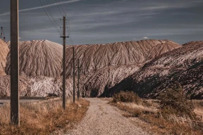 Что не так с идеей Лукашенко о превращении песчаников в плодородные земли